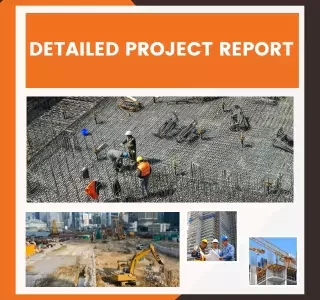 DPR Report